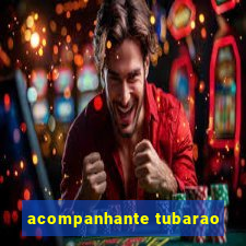 acompanhante tubarao